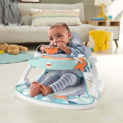 Fisher Price Tepsili Ana Kucağı Penguen HBF27