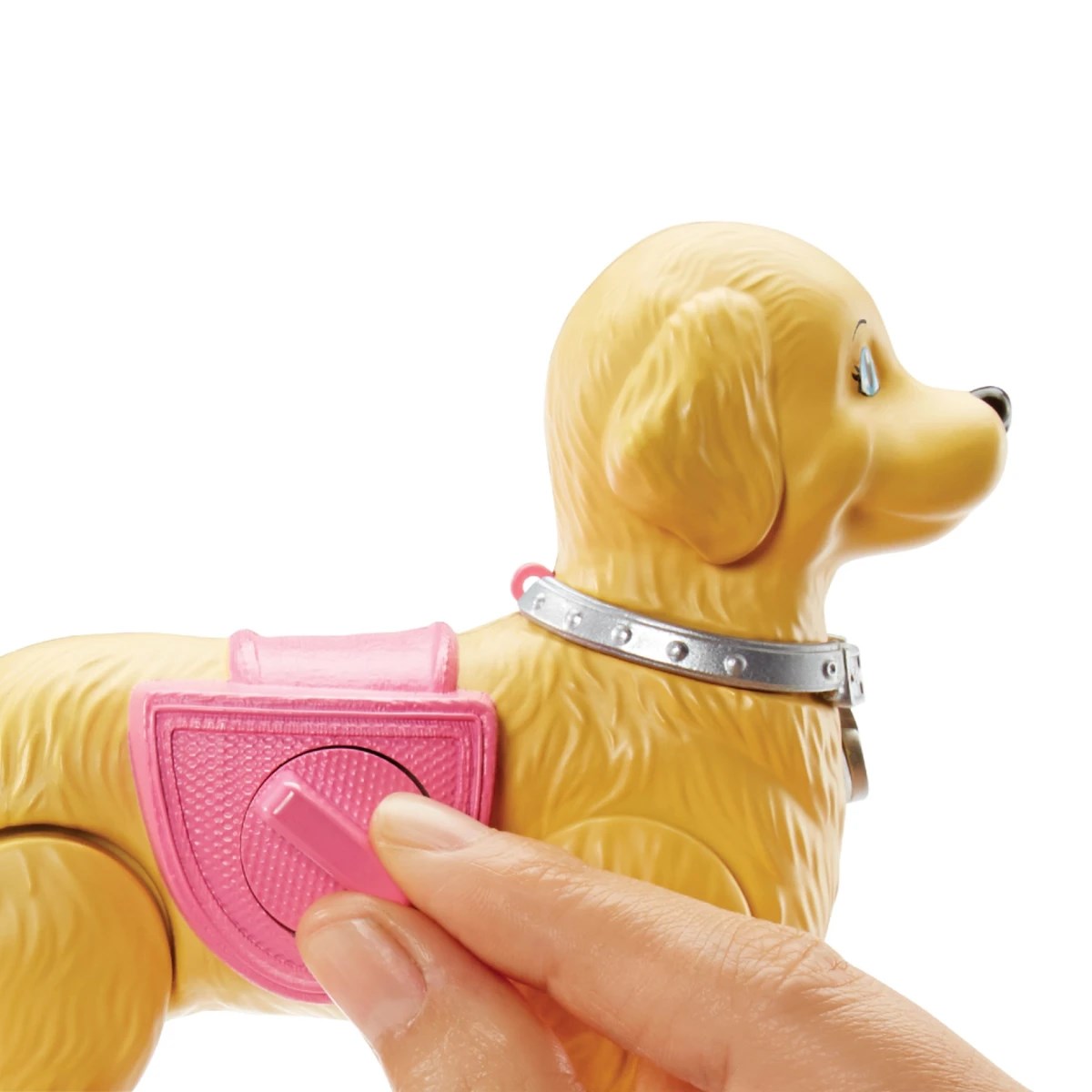 Barbie ve Tuvalet Eğitimindeki Köpeği DWJ68