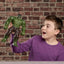 Spider-Man Brand New Day Savage Smash Hulk Figürü (29,9 cm)