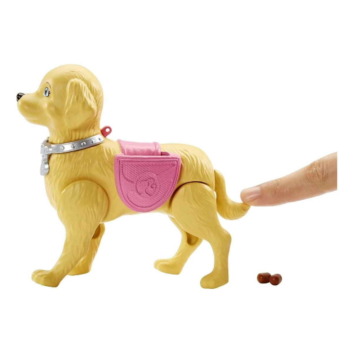 Barbie ve Tuvalet Eğitimindeki Köpeği DWJ68