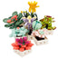 Blx Flower Bouquet Sukulent Çiçek Buketi 8842