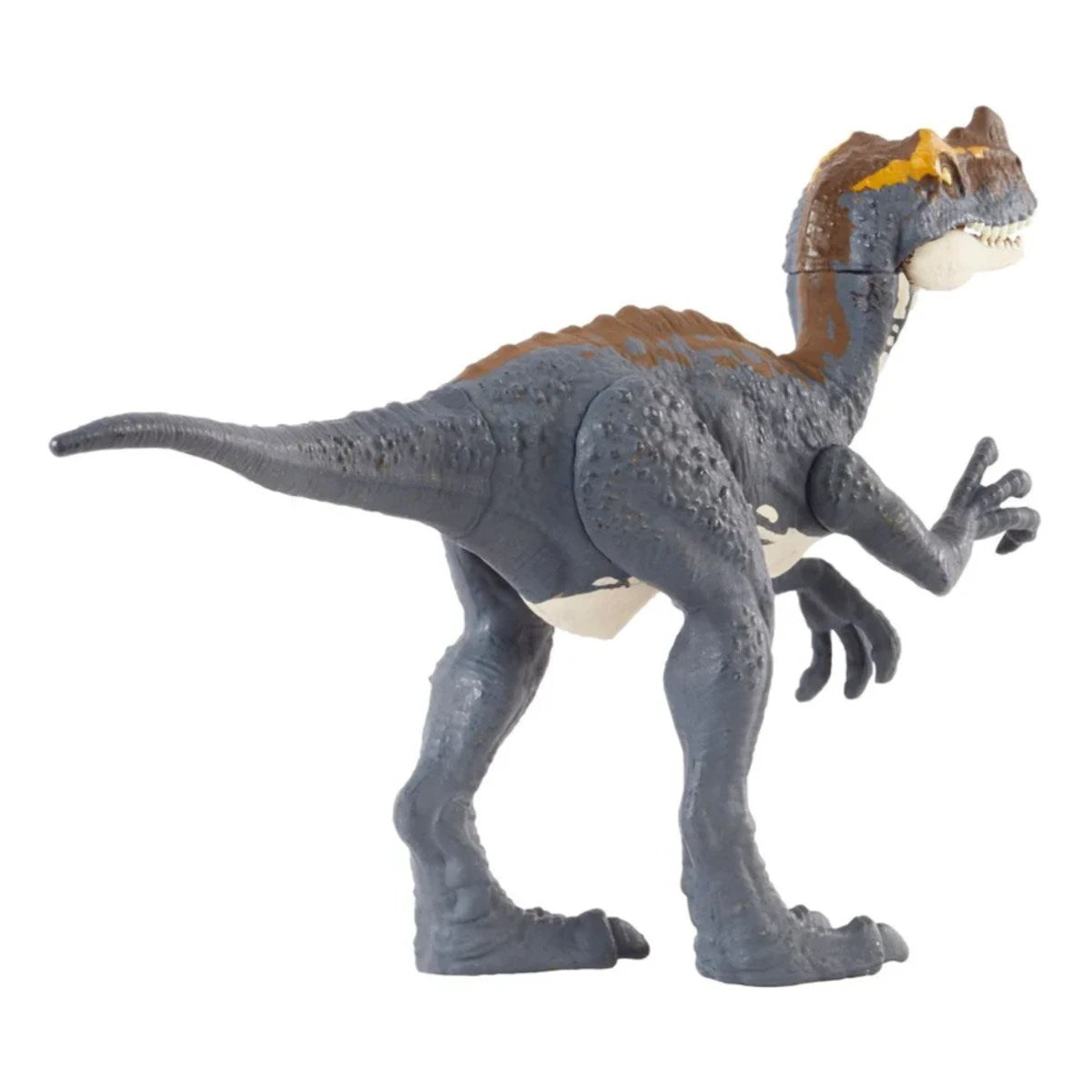 Jurassic World Thelikeli Dinozor Paketi Proceratosaurus JCL55