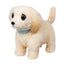 Little Live Pets Yavru Köpek İyileşiyor Oyun Seti L0100000 - Roket Oyuncak