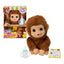 Little Live Pets Yavru Maymun Mango LP500000 - Roket Oyuncak