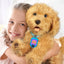 My Fuzzy Friends Sevimli Labrador Moji Türkçe MYJ00101 - Roket Oyuncak