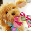 My Fuzzy Friends Sevimli Labrador Moji Türkçe MYJ00101 - Roket Oyuncak